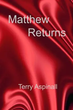 matthew returns book cover image