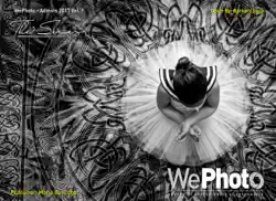 wephoto book cover image