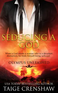 seducing a god book cover image