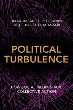 political turbulence book cover image
