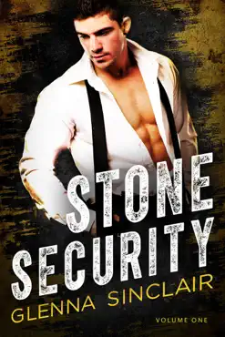 stone security book cover image