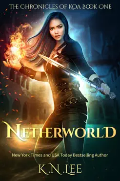 netherworld book cover image
