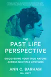 The Past Life Perspective sinopsis y comentarios
