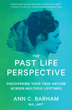 the past life perspective book cover image