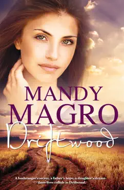driftwood book cover image