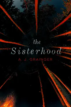 the sisterhood book cover image
