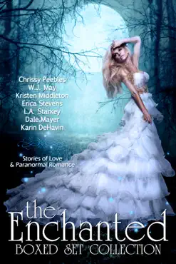 the enchanted box set collection book cover image