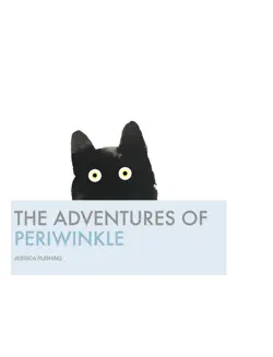 the adventures of periwinkle book cover image