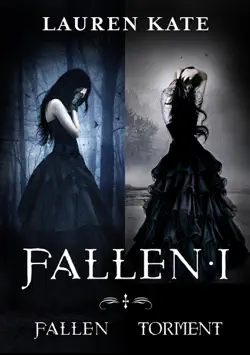 fallen i book cover image