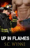 Up in Flames synopsis, comments