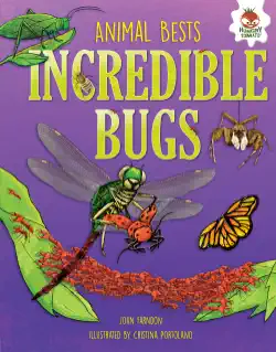 incredible bugs book cover image