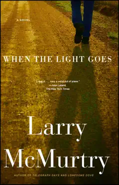 when the light goes book cover image