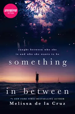something in between book cover image