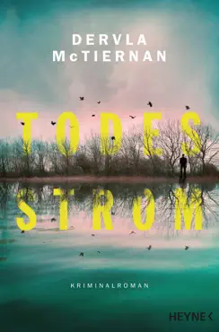todesstrom book cover image