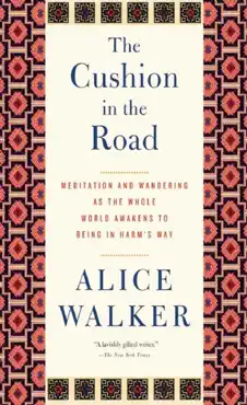 the cushion in the road book cover image