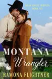 Montana Wrangler synopsis, comments