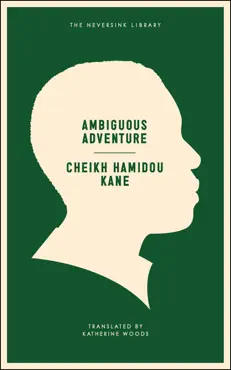 ambiguous adventure book cover image