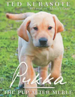 pukka book cover image