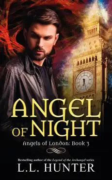 angel of night book cover image