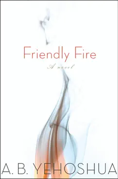 friendly fire book cover image