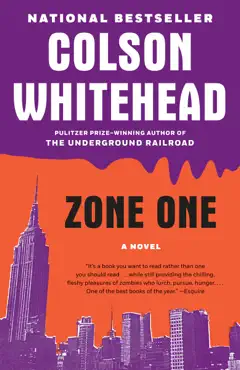 zone one book cover image
