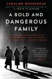 A Bold and Dangerous Family synopsis, comments