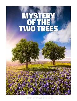 mystery of the two trees book cover image