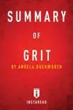 Summary of Grit synopsis, comments