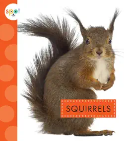 squirrels book cover image
