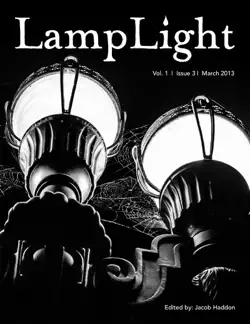 lamplight vol 1 issue 3 book cover image