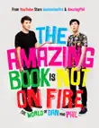 The Amazing Book Is Not on Fire synopsis, comments