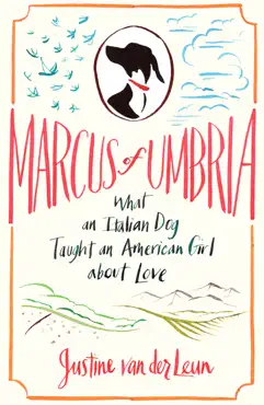 marcus of umbria book cover image