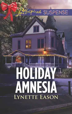 holiday amnesia book cover image