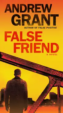 false friend book cover image