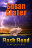Flash Flood synopsis, comments