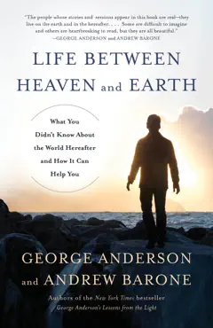 life between heaven and earth book cover image
