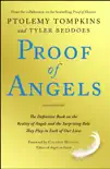 Proof of Angels synopsis, comments