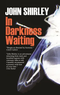 in darkness waiting book cover image