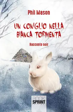 un coniglio nella bianca tormenta book cover image