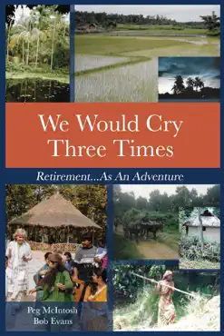 we would cry three times book cover image