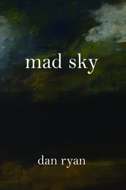 mad sky book cover image
