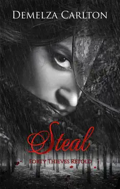 steal: forty thieves retold book cover image