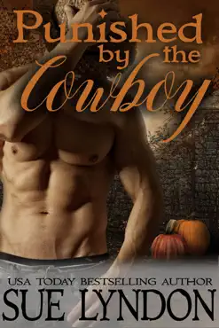 punished by the cowboy book cover image