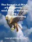The Sweetest Bird of My Youth And Other Stories by Peter Ortutay synopsis, comments