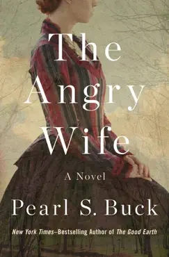 the angry wife book cover image
