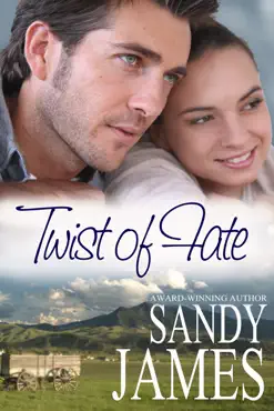 twist of fate book cover image
