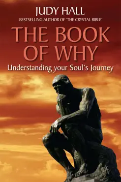 book of why book cover image