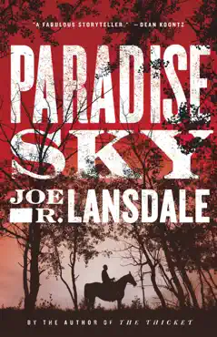 paradise sky book cover image