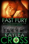 Fast Fury synopsis, comments