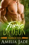 Fume Dragon synopsis, comments